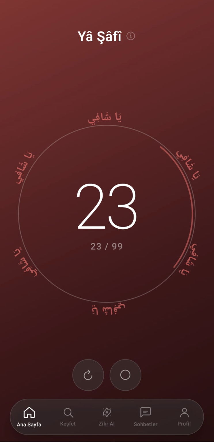 Ana Ekran — Yâ Şâfî